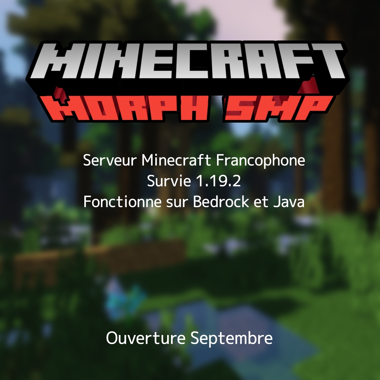 Le MORPH SMP